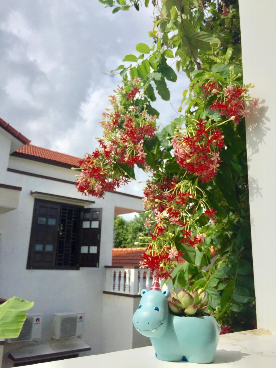 Holy Land Homestay Hoi An Eksteriør billede