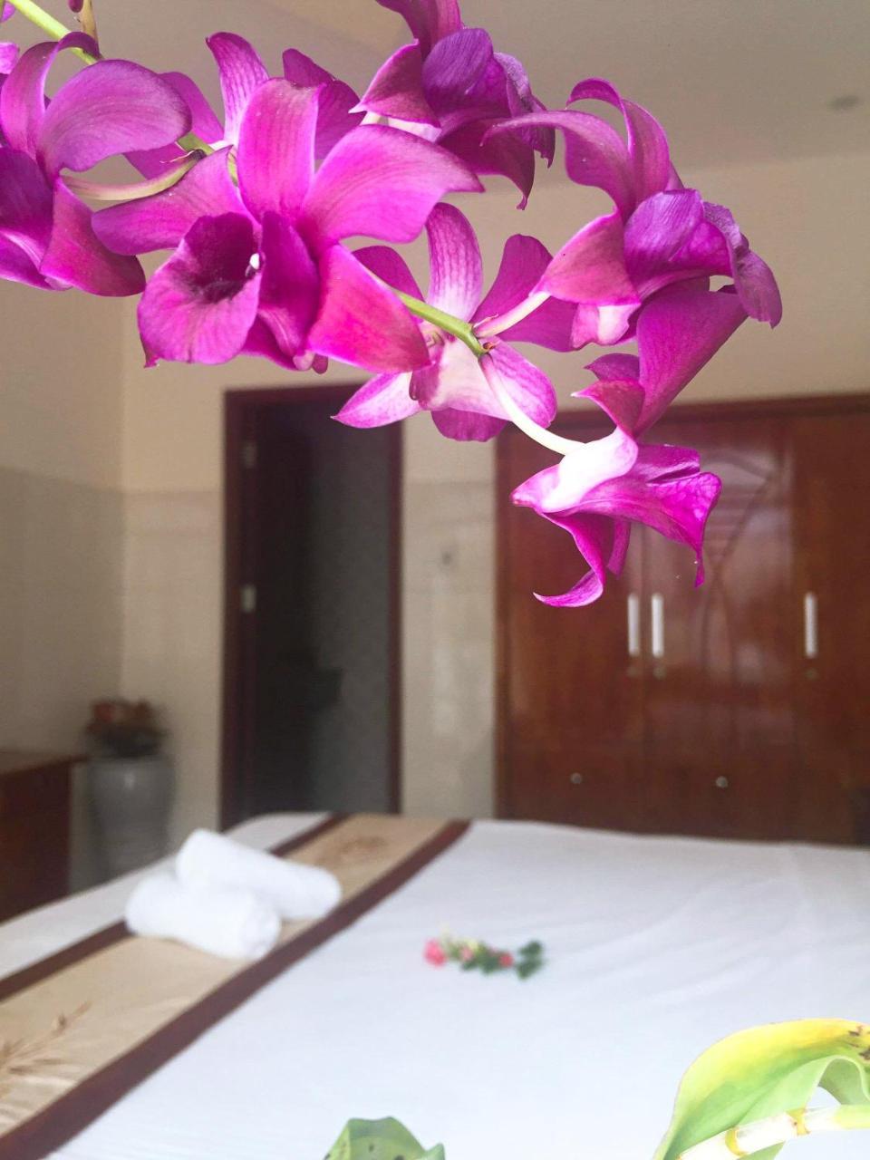 Holy Land Homestay Hoi An Eksteriør billede